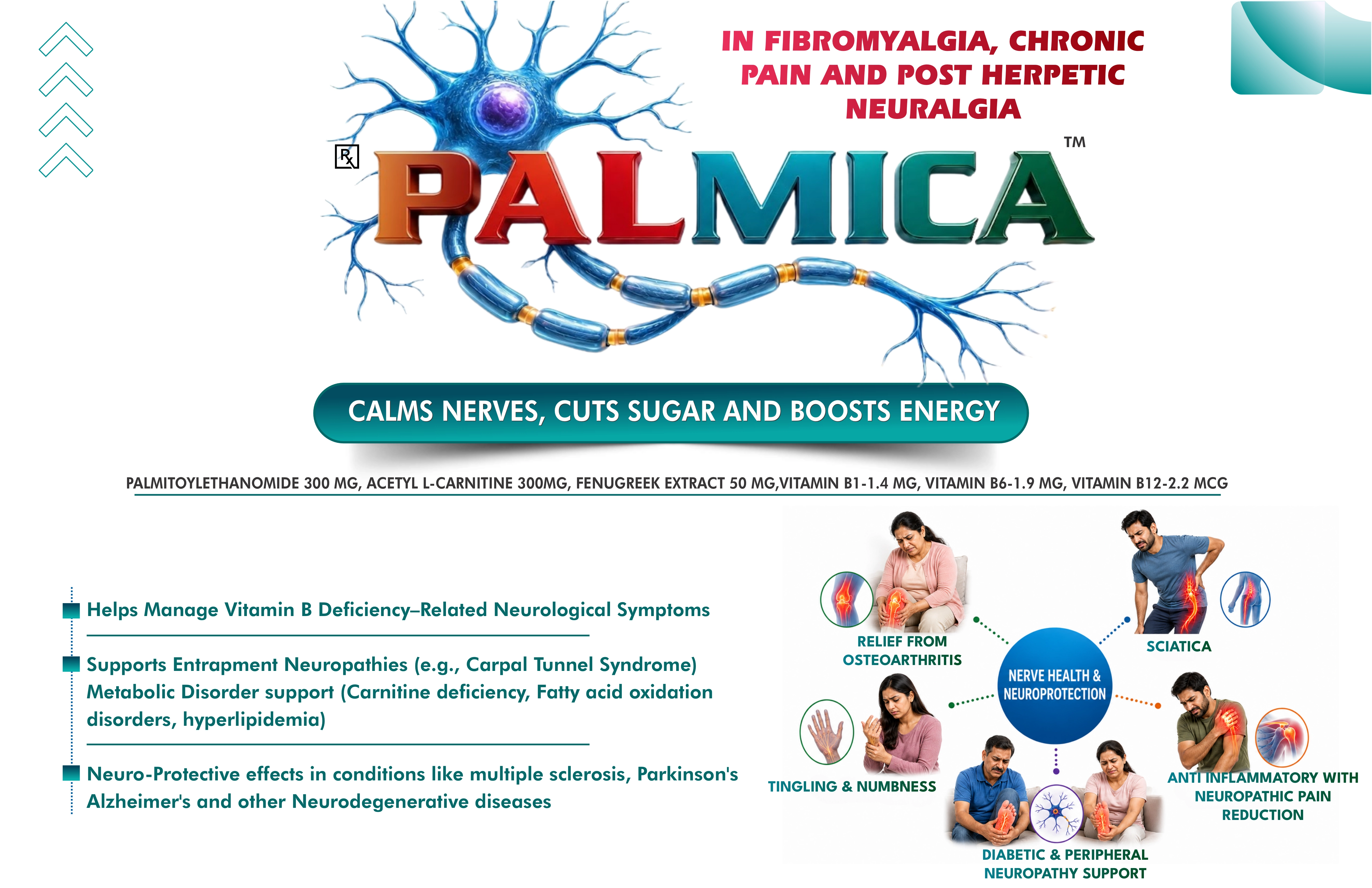Palmica Full Visualet Slide